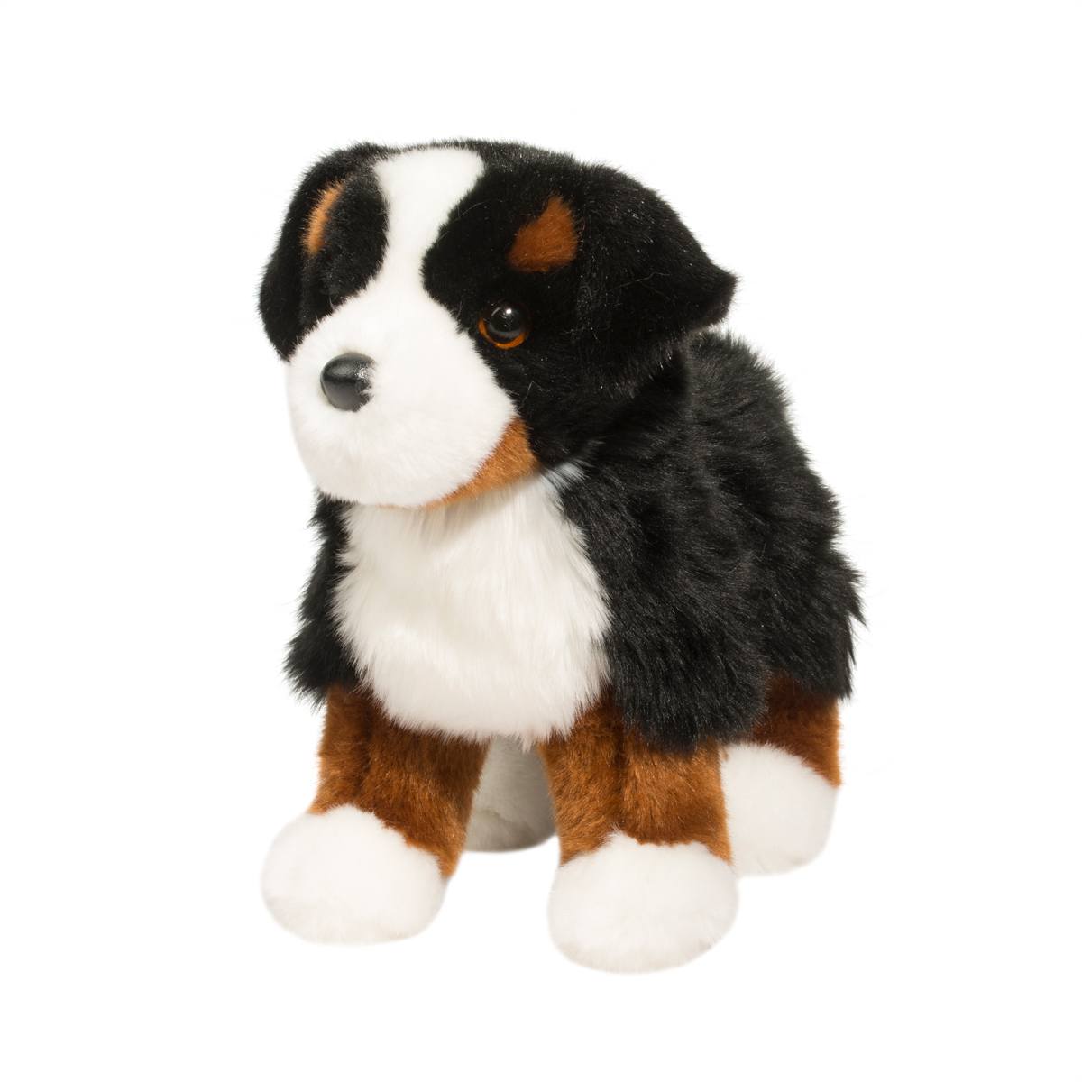 Stevie Bernese Mountain Dog - Image 8