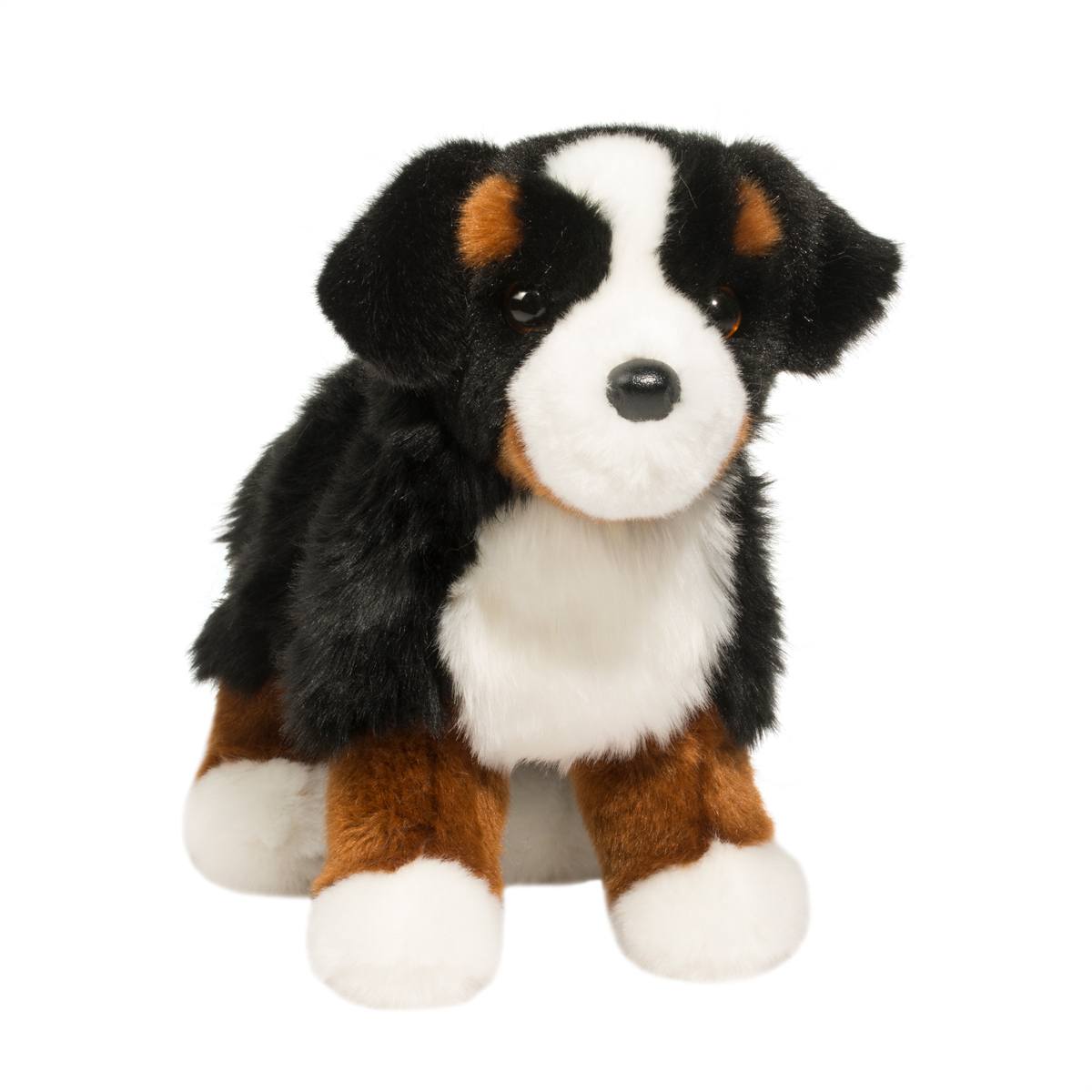 Stevie Bernese Mountain Dog - Image 9