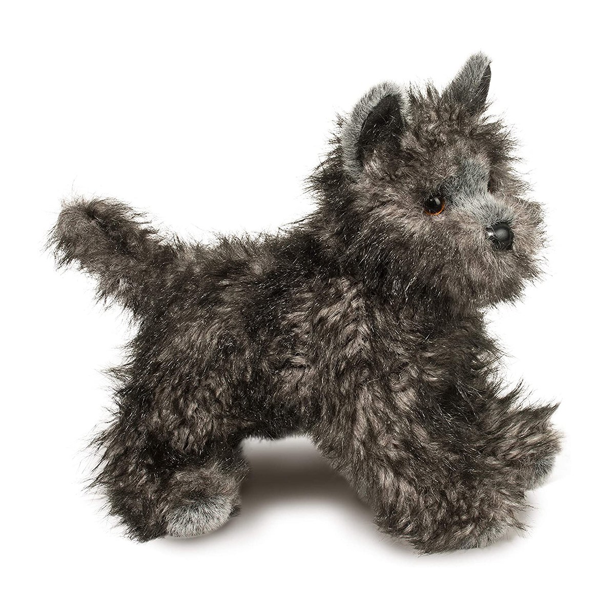 Hazel Cairn Terrier - Image 2