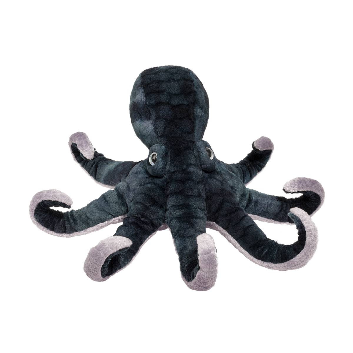 Winky Octopus - Image 2