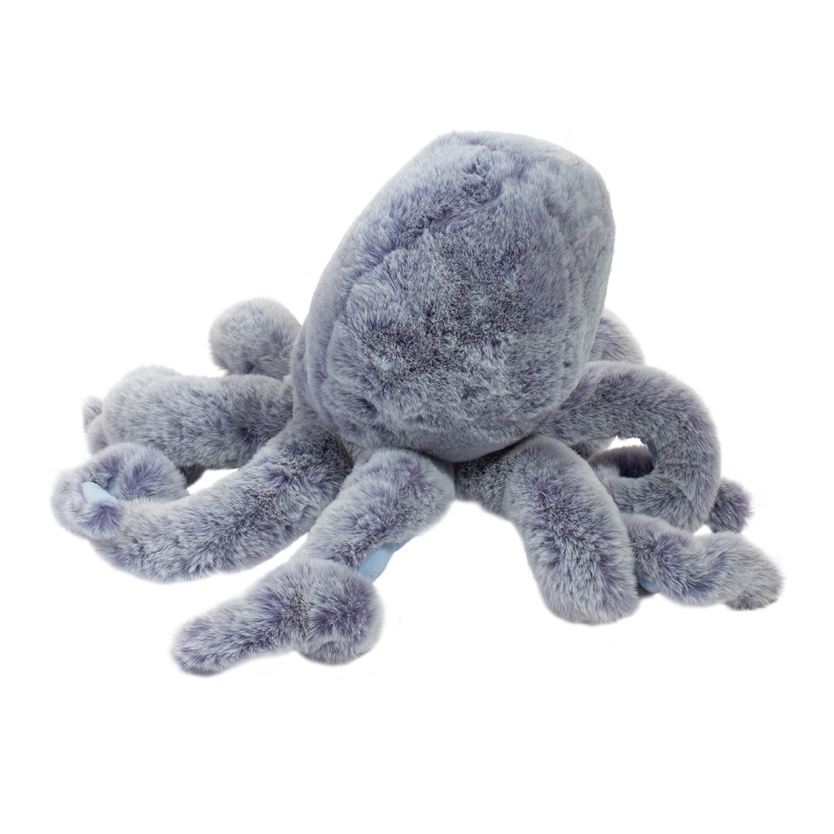 Jamie Octopus - Image 5