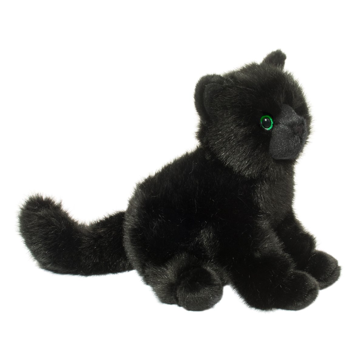 Salem Black Cat - Image 5