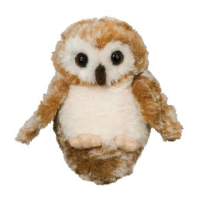 Lil' Baby Owl