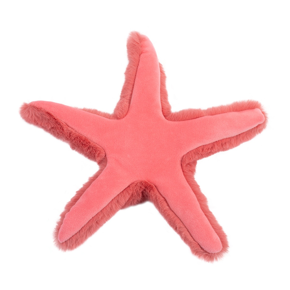 Coral Starfish - Image 2