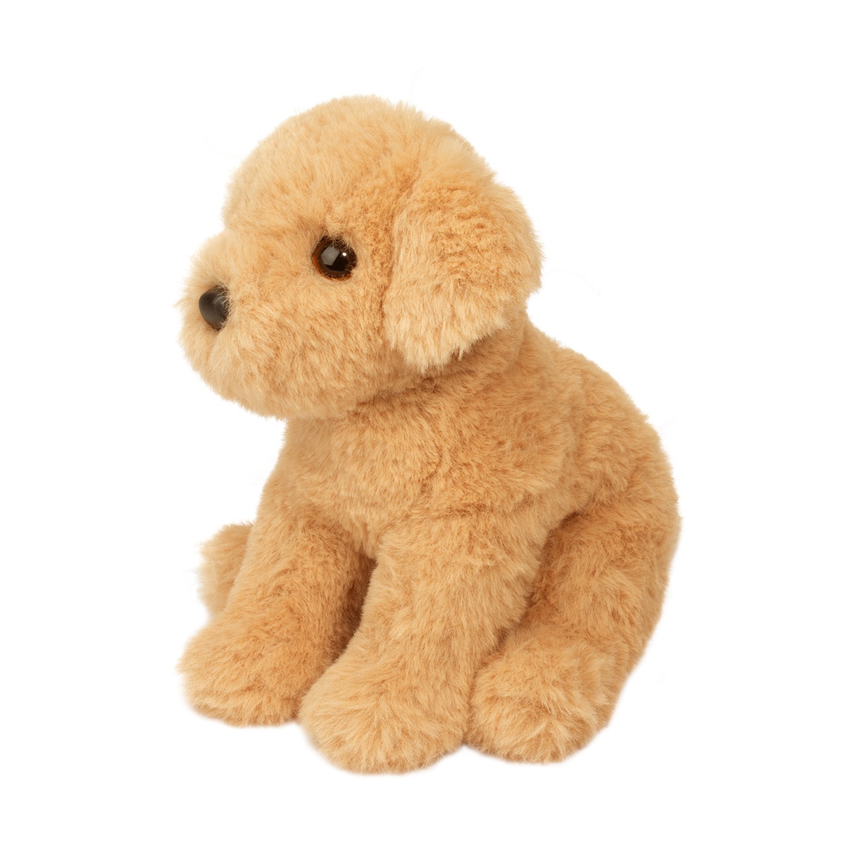 Mini Goldie Soft Golden Retriever - Image 2