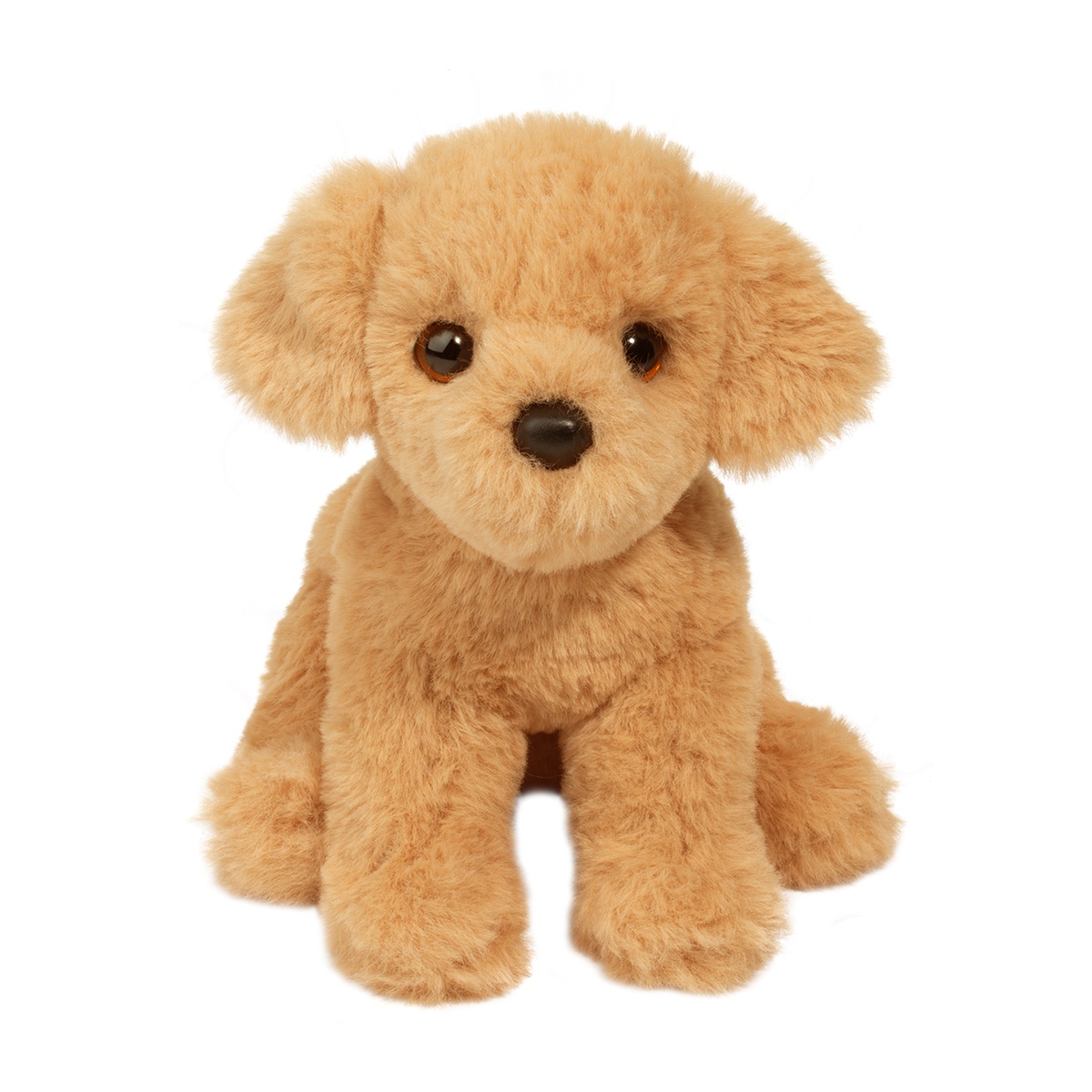 Mini Goldie Soft Golden Retriever - Image 5